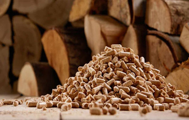 Pellet e legna da ardere